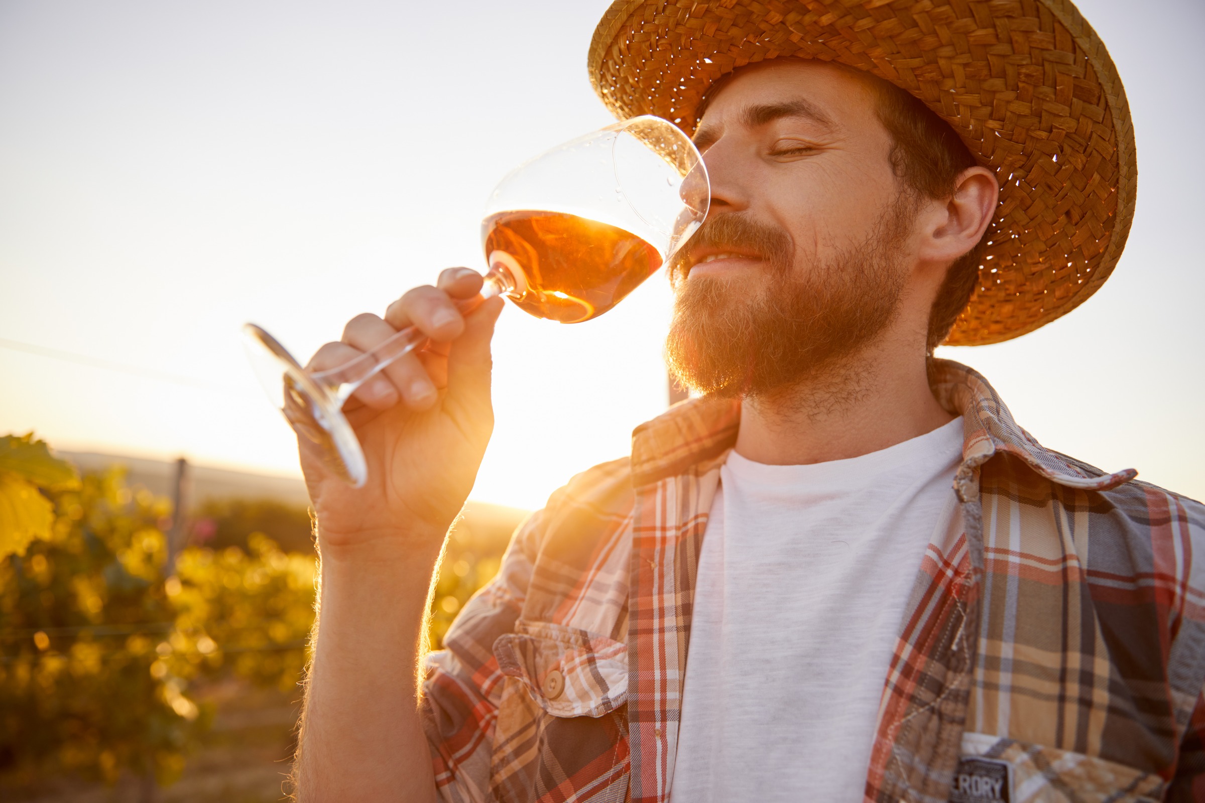 Historias del Vino