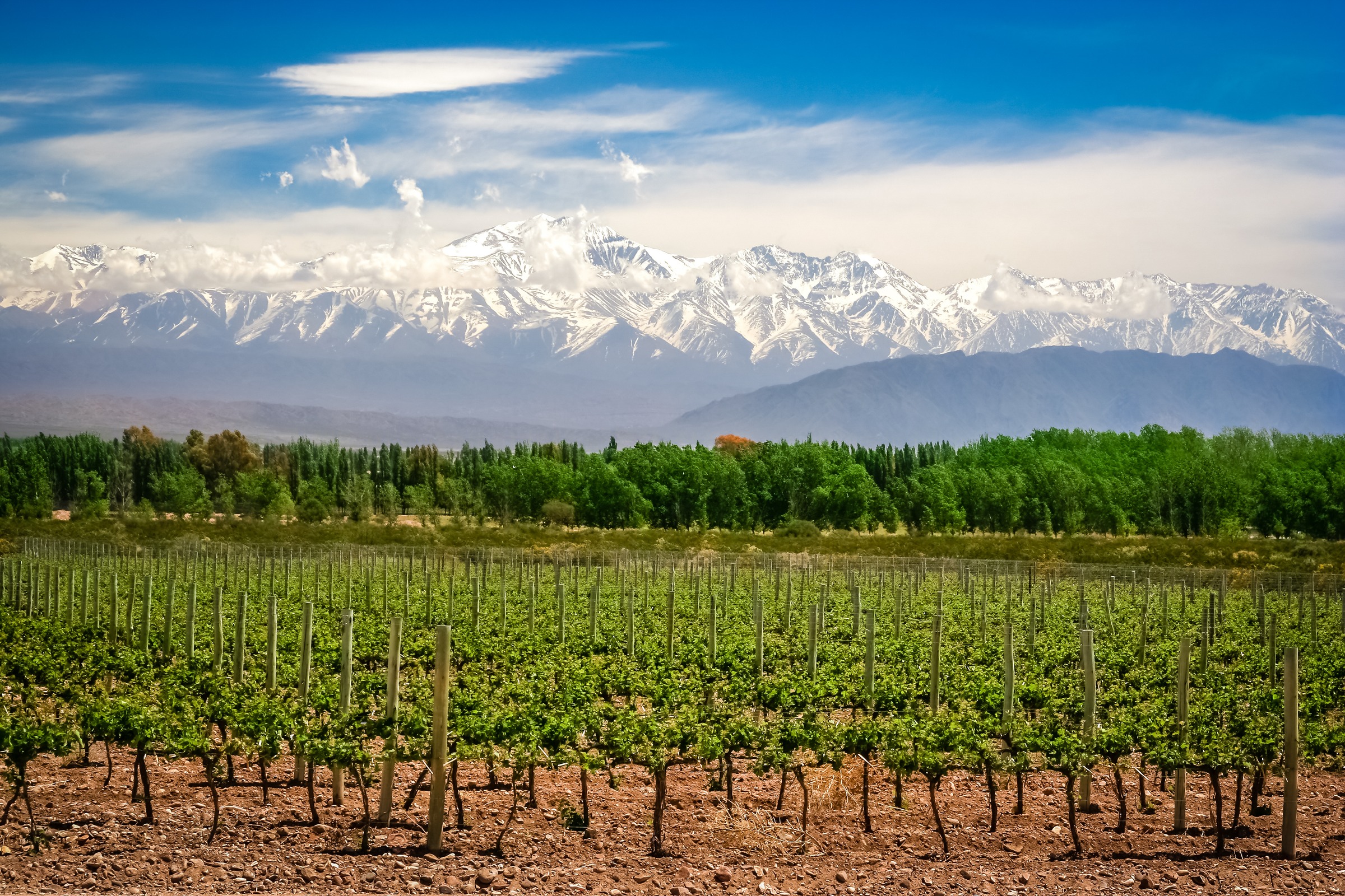 Capitales del Vino