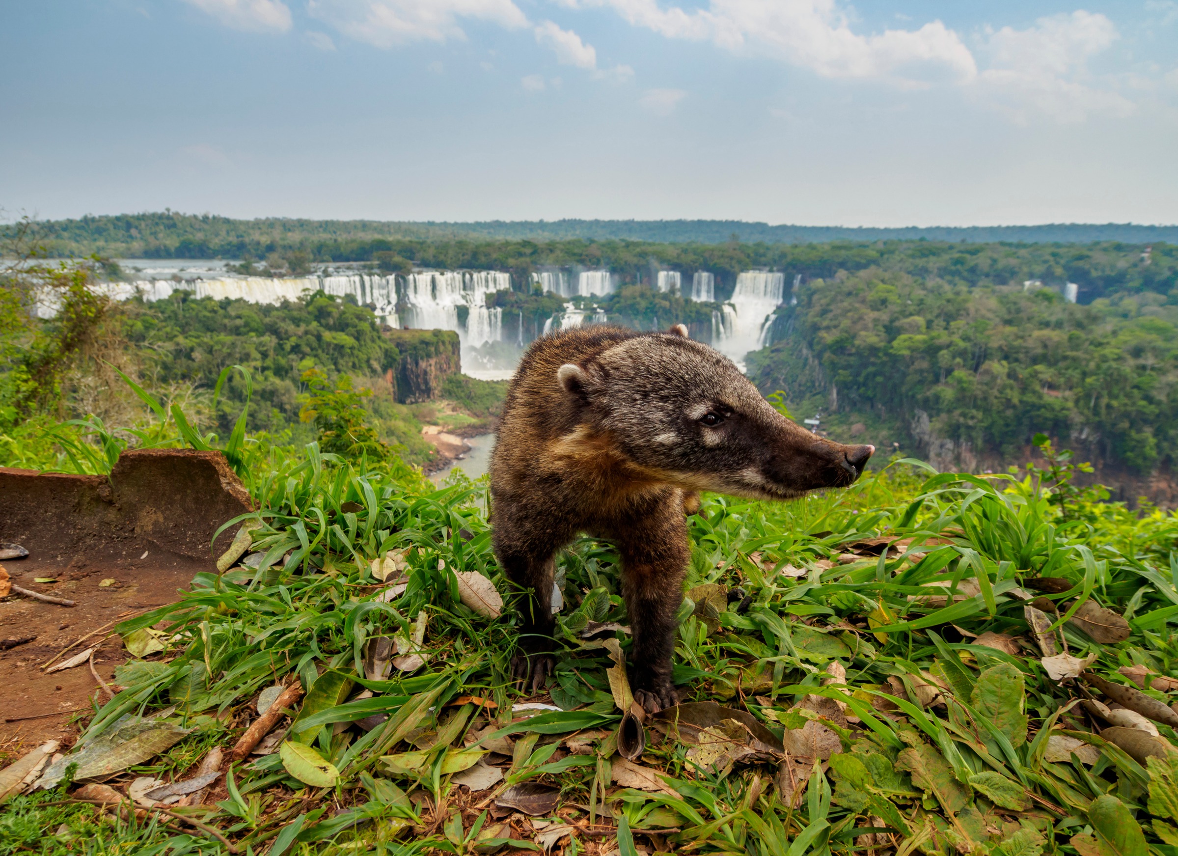Magia, Ríos y Ritmos del Amazonas